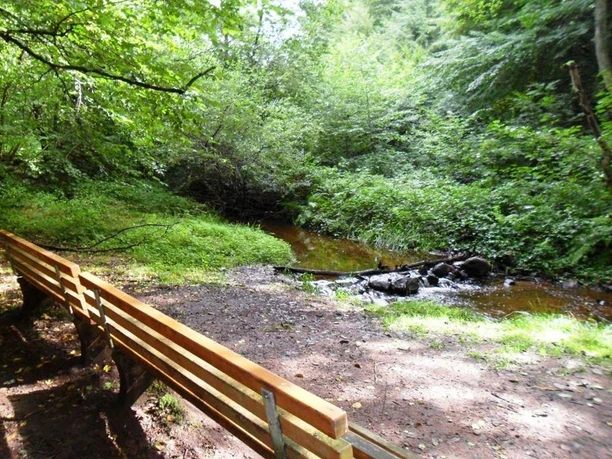 Rast im Saarhölzbachtal