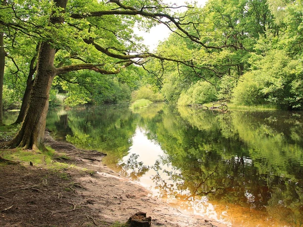 Kohlschlagbach-Weiher auf dem Warndt-Wald-Weg