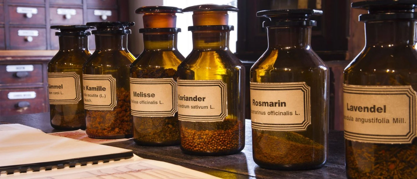 Psychiatrie gestern und heute Braune Apothekerflaschen mit Kräutern wie Melisse, Rosmarin und Lavendel auf Holztisch