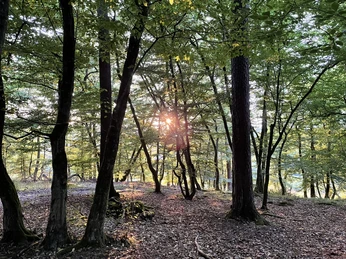 2025_07_27_Trekkingplatz_Aartal_PS (11).JPEG