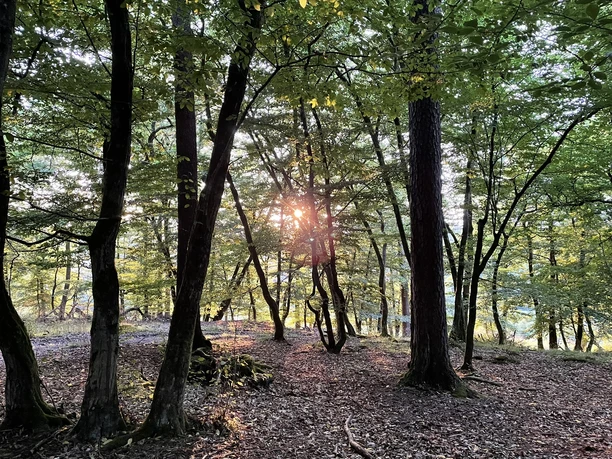 2025_07_27_Trekkingplatz_Aartal_PS (11).JPEG