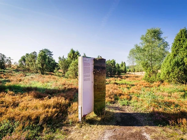 Querschnitt Boden Lüneburger Heide.jpg