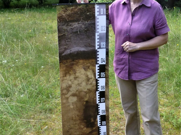 Bodengeheimnisse in der Südheide entdecken