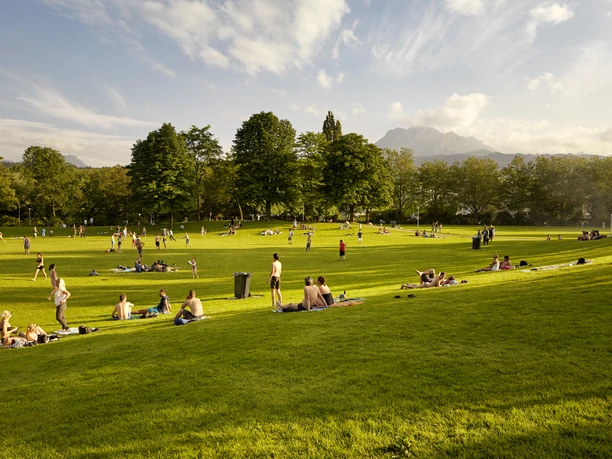 Liegewiese Ufschötti in Luzern