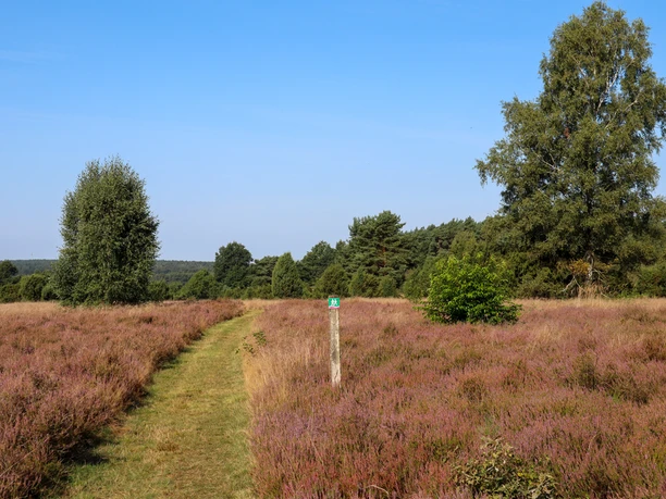 Bodengeheimnisse in der Südheide