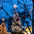 Gütersloher Weihnachten Weihnachtlich geschmückter Baum mit roten Kugeln vor Lichterglanz der Gütersloher Innenstadt.
