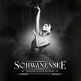 Schwanensee