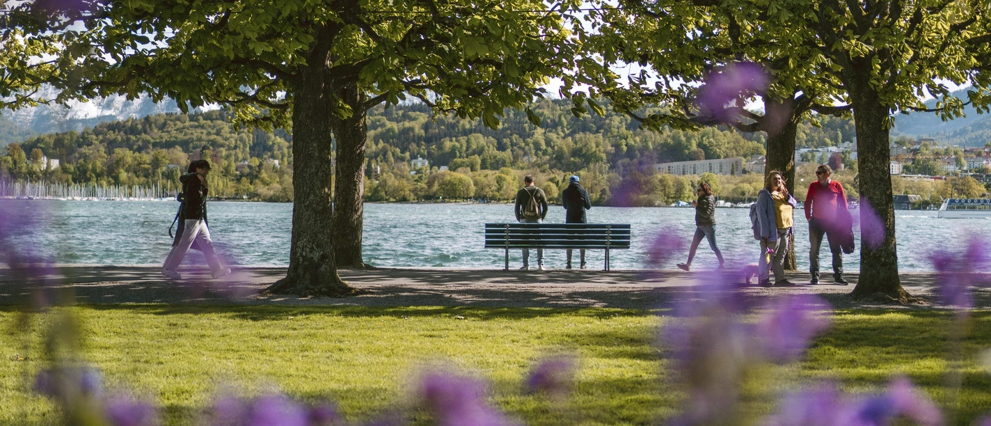 Rössliwiese Lucerne