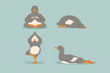 Zugvogel-Yoga