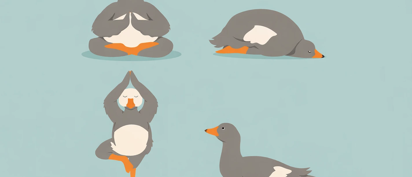 Zugvogel-Yoga