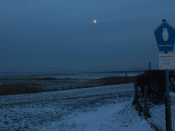 Salzwiese Winter Nacht
