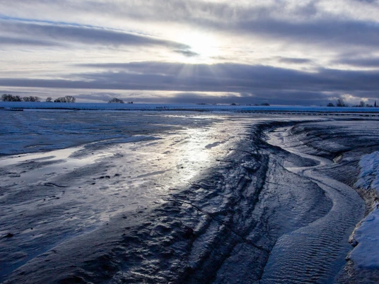 Langwarder Groden Winter