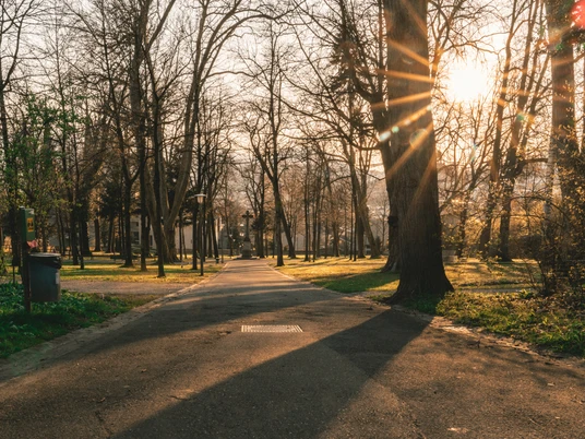 Alter Friedhof Park Luzern