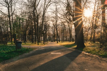 Vieux cimetière du parc de Lucerne