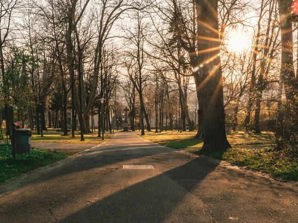 Vieux cimetière du parc de Lucerne
