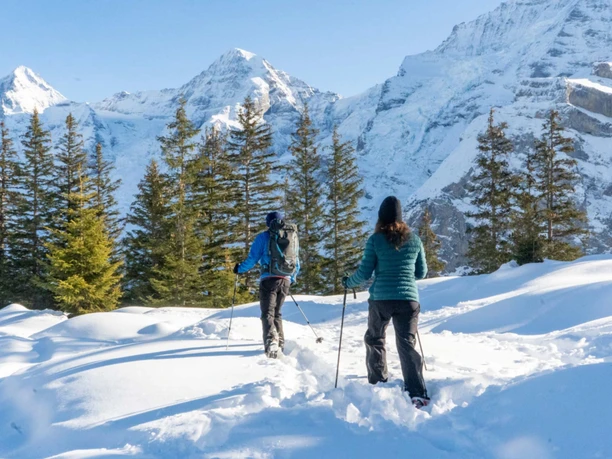 imboden-bike-winter-schneeschuh-paar-lauterbrunnental.jpg