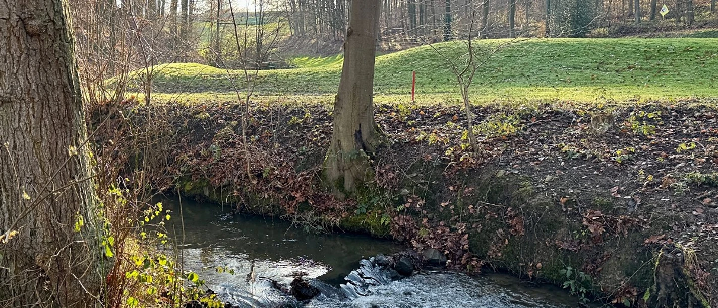 Abendwanderung: Zwischen Oefter Bachtälern und Panorama-Erlebnissen