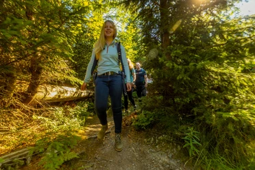 Wandergruppe c) Davide Heise, Tourist-Information Willingen.jpg