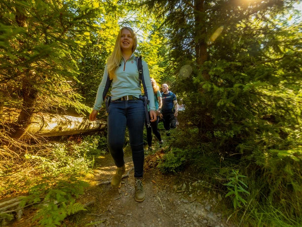Wandergruppe c) Davide Heise, Tourist-Information Willingen.jpg