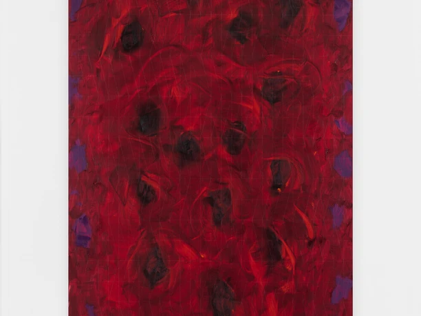 WhatsApp Image 2026 02 14 at 18 22 07