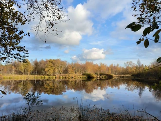 Prinzenmoor