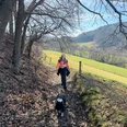 Erlebniswanderung mit Hund druch die Elfringhauser Schweiz mit Dina Knorr