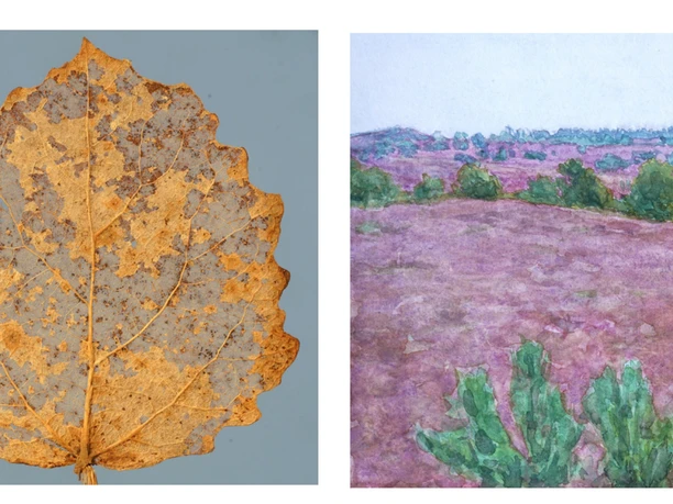 Ausschnittsdetail Ausschnittsdetail