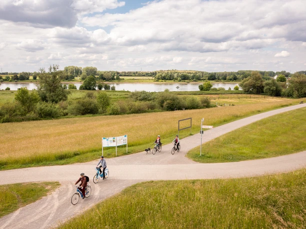 Radfahrende im Rheinbogen