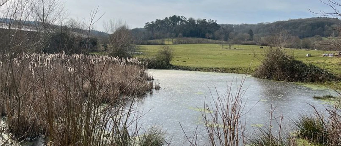 Ein breiter Bach führt durch weite Felder.