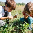 children observe caterpillars children observe caterpillars