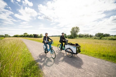 Radfahrende im Rheinbogen