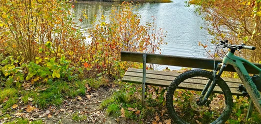 Mountainbike an einer Holzbank mit Blick auf einen See im herbstlichen Laub