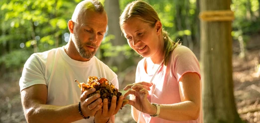Zwei Erwachsene betrachten im sonnigen Wald Herbstlaub beim Waldbaden.