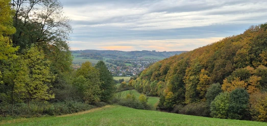 Herbstlicher Blick über Waldhänge, Wiesen und ein Dorf im Tal