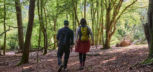 Zwei Wandernde mit Rucksäcken auf einem Waldweg im grünen Laubwald