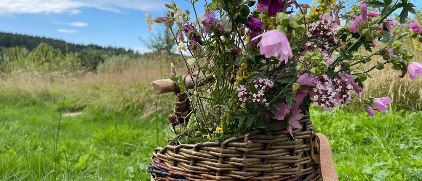 Kraeuterkorb.jpg