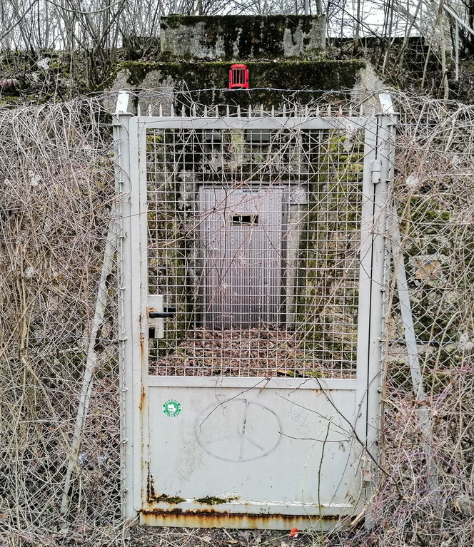 Hochbehälter 1.jpg Eingezäunter Hochbehälter mit Stahltür, umrankt von trockenem Gestrüpp im Winter.