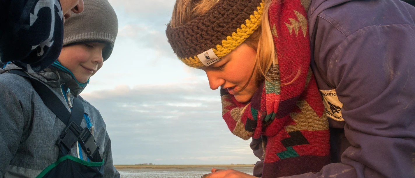 Wattführung Watt wird Frau und Kind erklärt