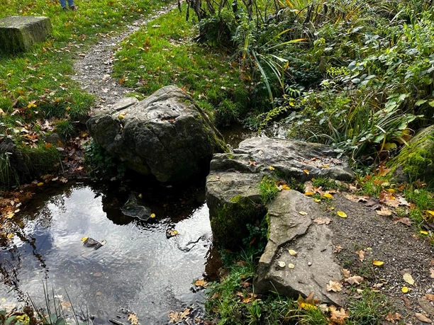 Auf den Spuren von Wassermann, Pau und Kaiser-Friedrich-Park 1 (c) Ökologie-Zentrum Aachen e.V..jpg Mündung eines kleinen Baches, der unter einem schmalen Pfad fließt.