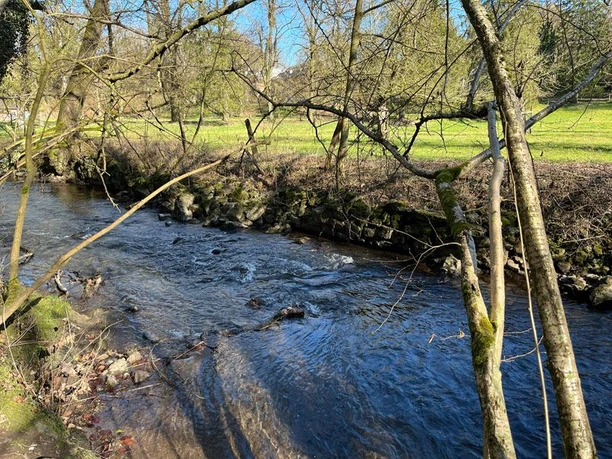 Ein Bach verläuft zwischen herbstlichen Bäumen und grünen Wiesen.