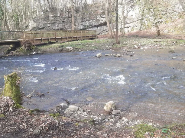 Ein breiter Bach fließt unter einer schmalen Brücke hindurch.