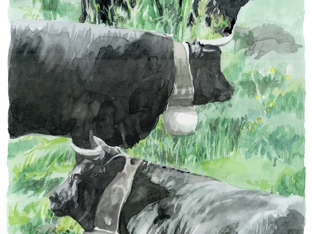 1820 Bellwald Richinen, Eringer auf der Weide Presse.jpg