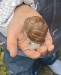 Erde, Matsch und Krabbeltier Erde, Matsch und Krabbeltier