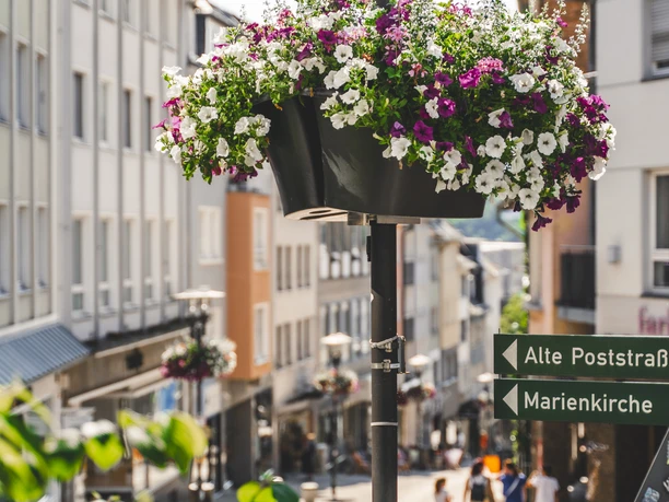 Siegen Blumenkästen