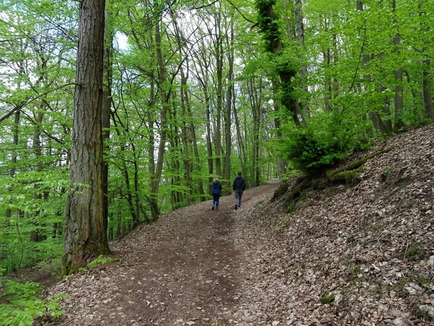 Battenberger Burgenweg