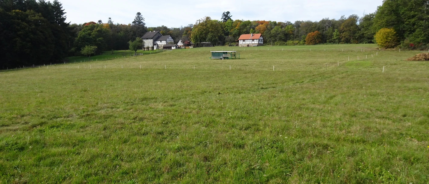 Lindenhardttour -Blick auf Forsthaus Kleudelburg