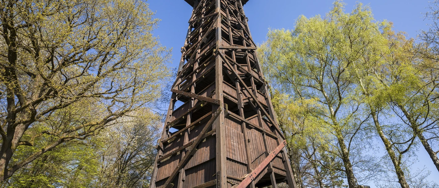 Burgholzturm auf der Himmelsbergtour Henrik Isenberg