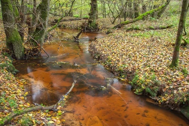 H Rotes Wasser Tour Das Rote Wasser L Feisel