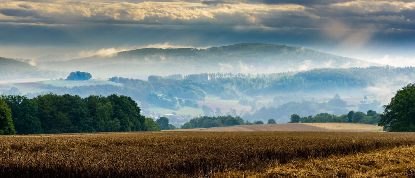 71 Galgenberg DSC0668 2