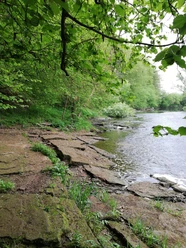 An der Edestede bei Birkenbringhausen